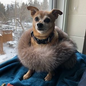 Meet your Posher, Debbie